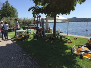 10 - InFiorita Ispra 2015